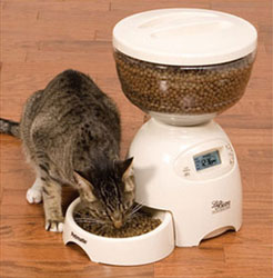 Automatic Cat Feeders Food For Your Cat While You Re Away